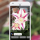 Illustration for article titled What Can Google Lens Actually Do for You Right Nowem/em